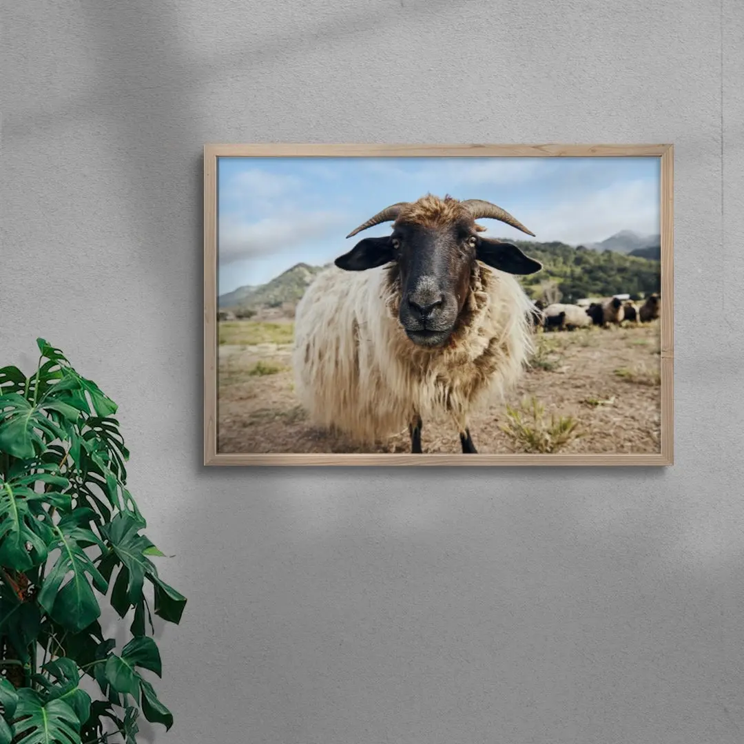 Ram Up Close - Image 6