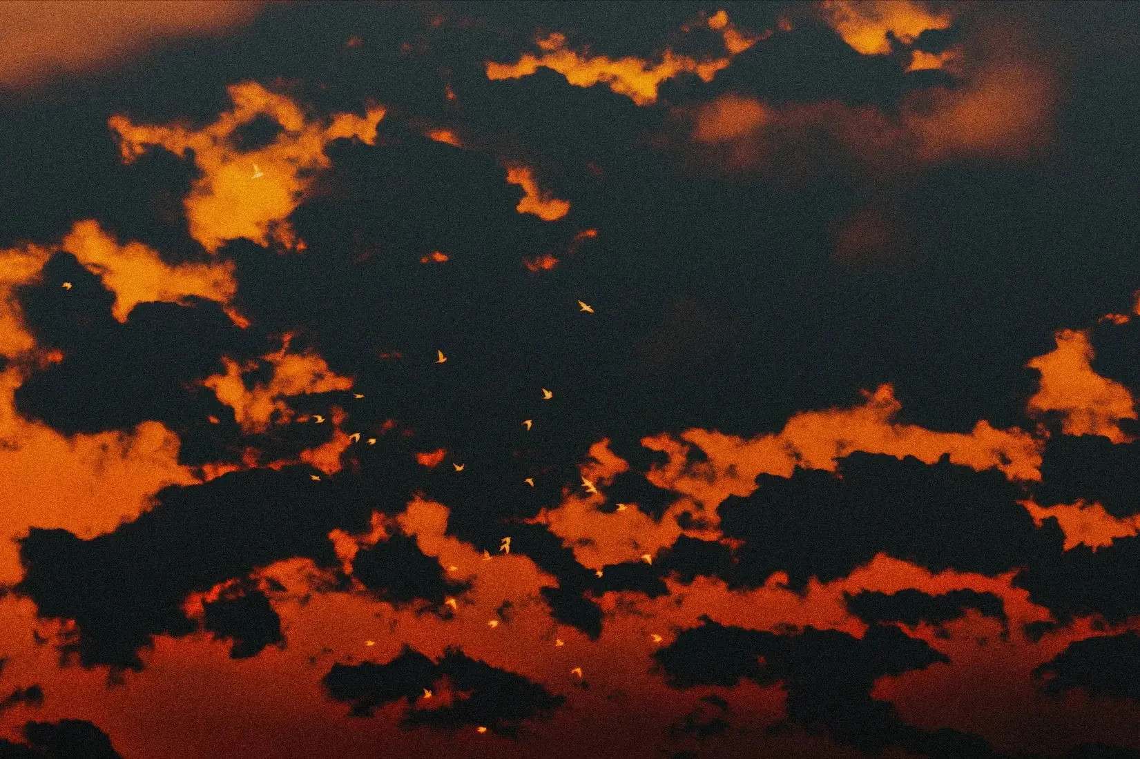 Red Sky - Image 2