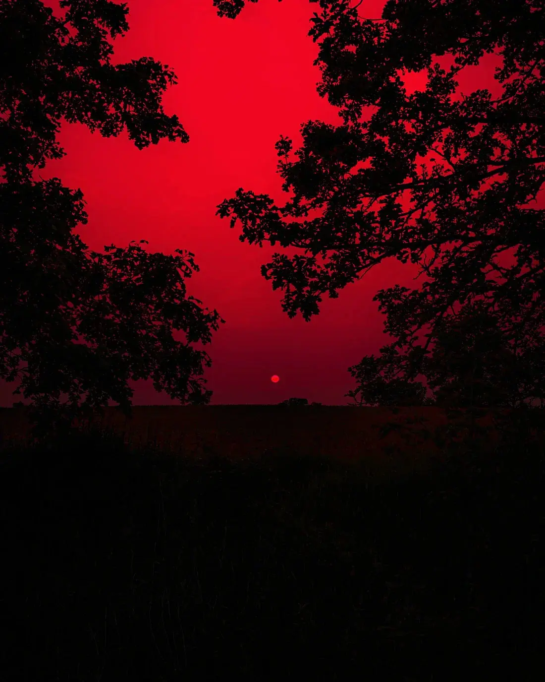 Red Sunset - Image 2