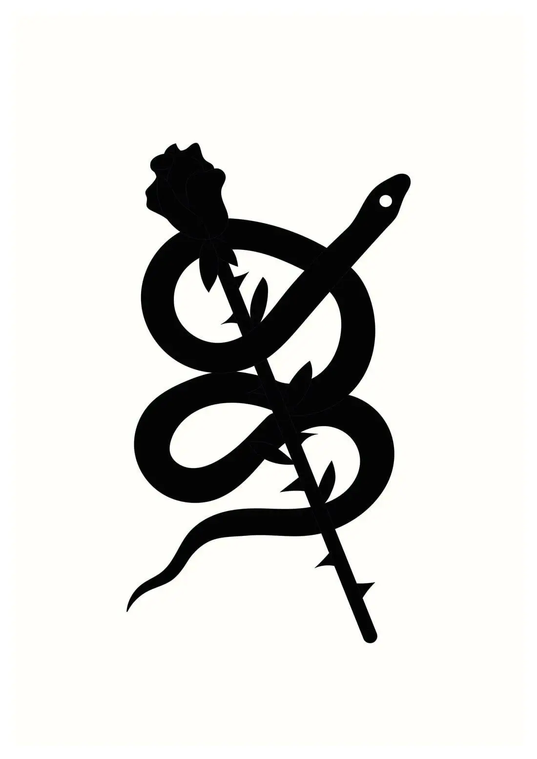 Rose - Image 2