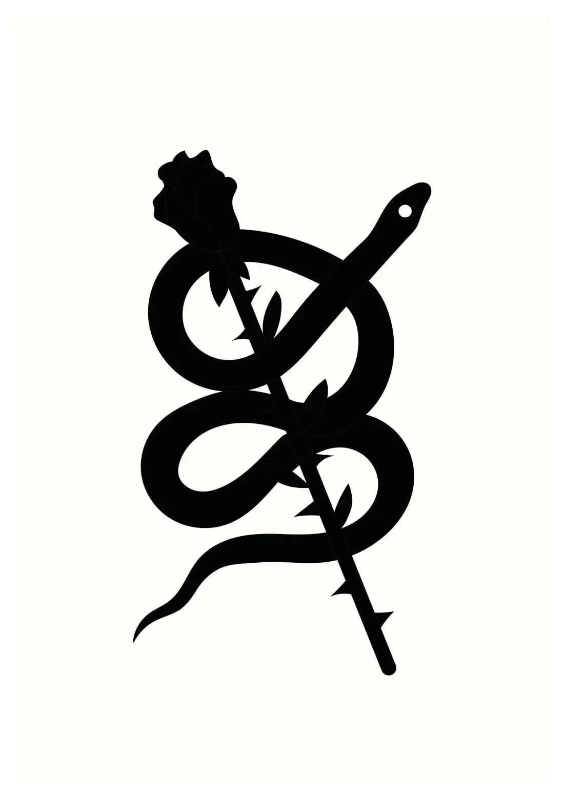 Rose - Image 2