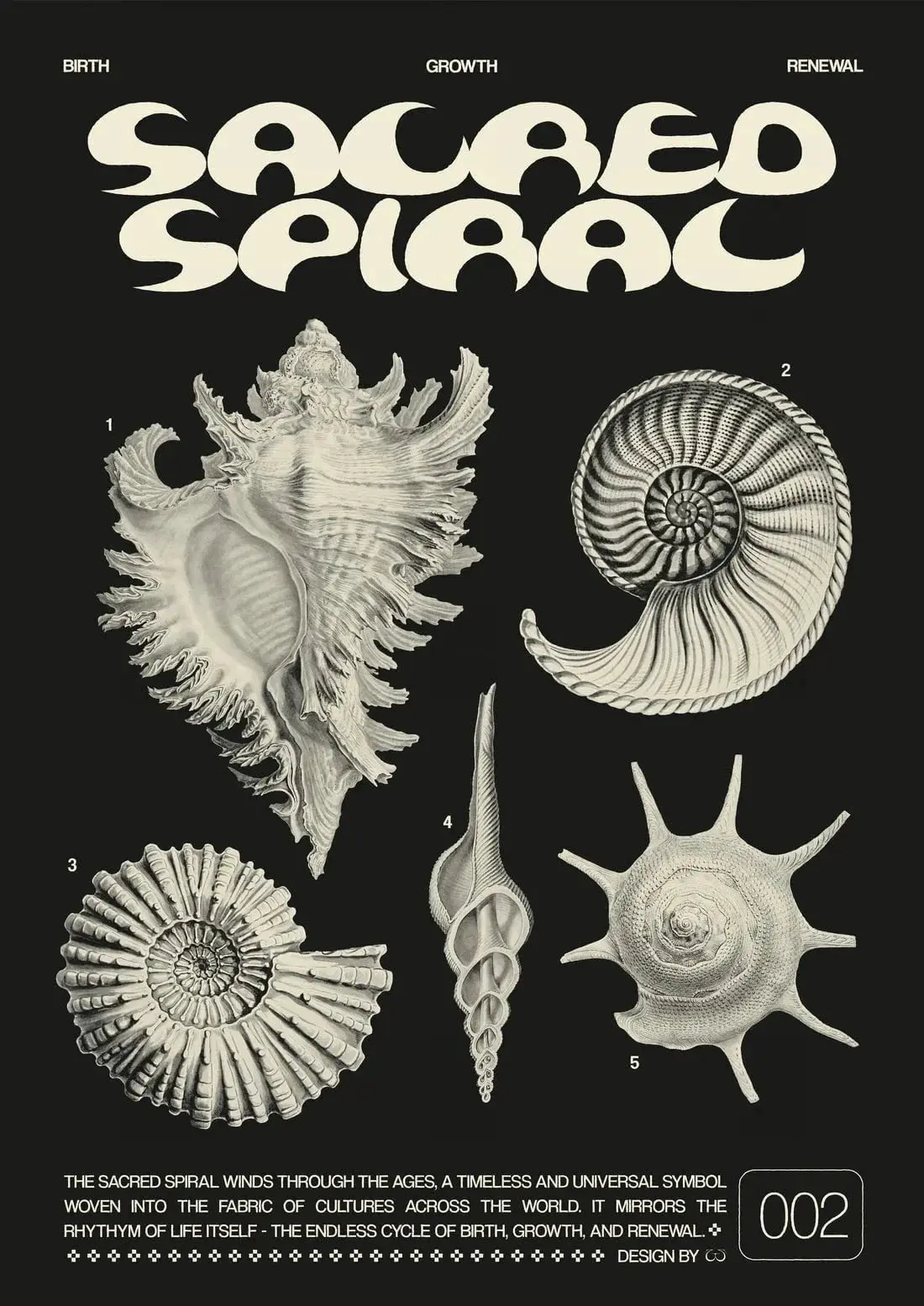 Sacred Spiral - Image 2