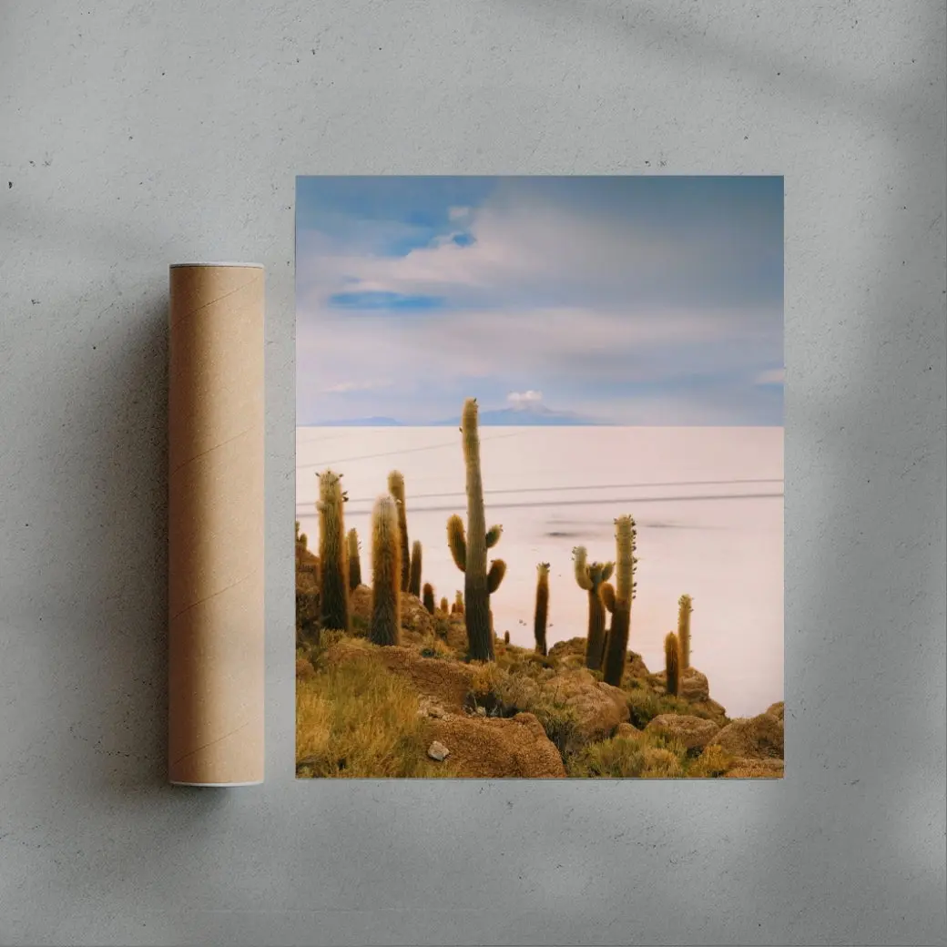 Salty Cacti - Image 3