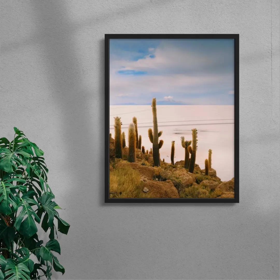 Salty Cacti - Image 4