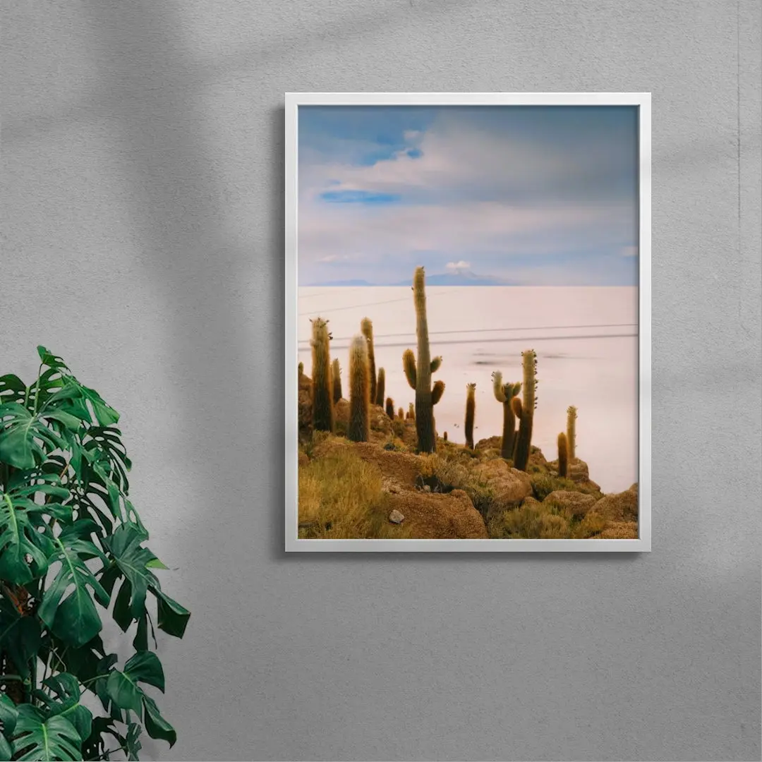 Salty Cacti - Image 5