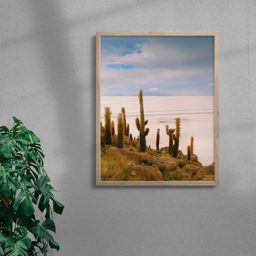 Salty Cacti - Image 6