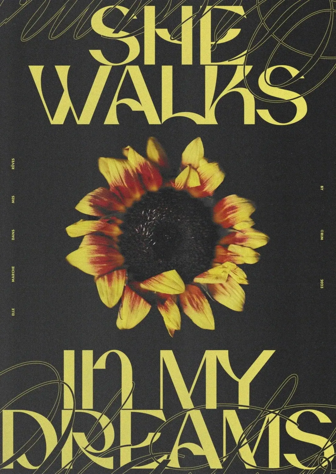 She Walks In My Dreams - Image 2