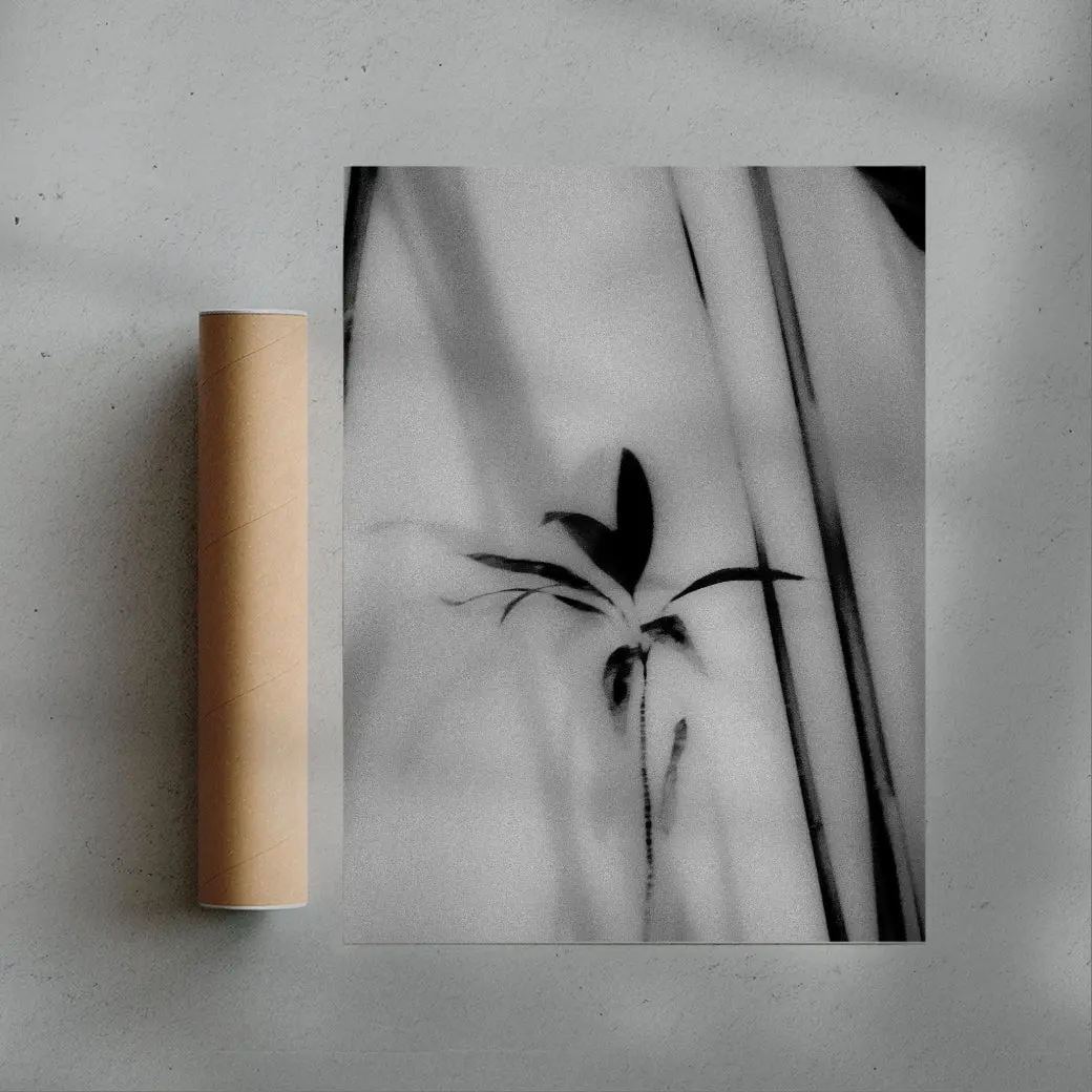 Silhouetted Plant - Image 3