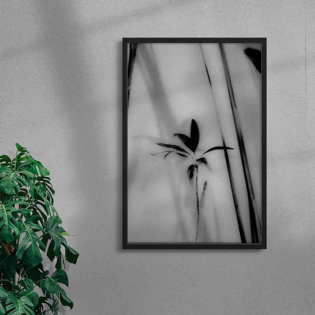 Silhouetted Plant - Image 4