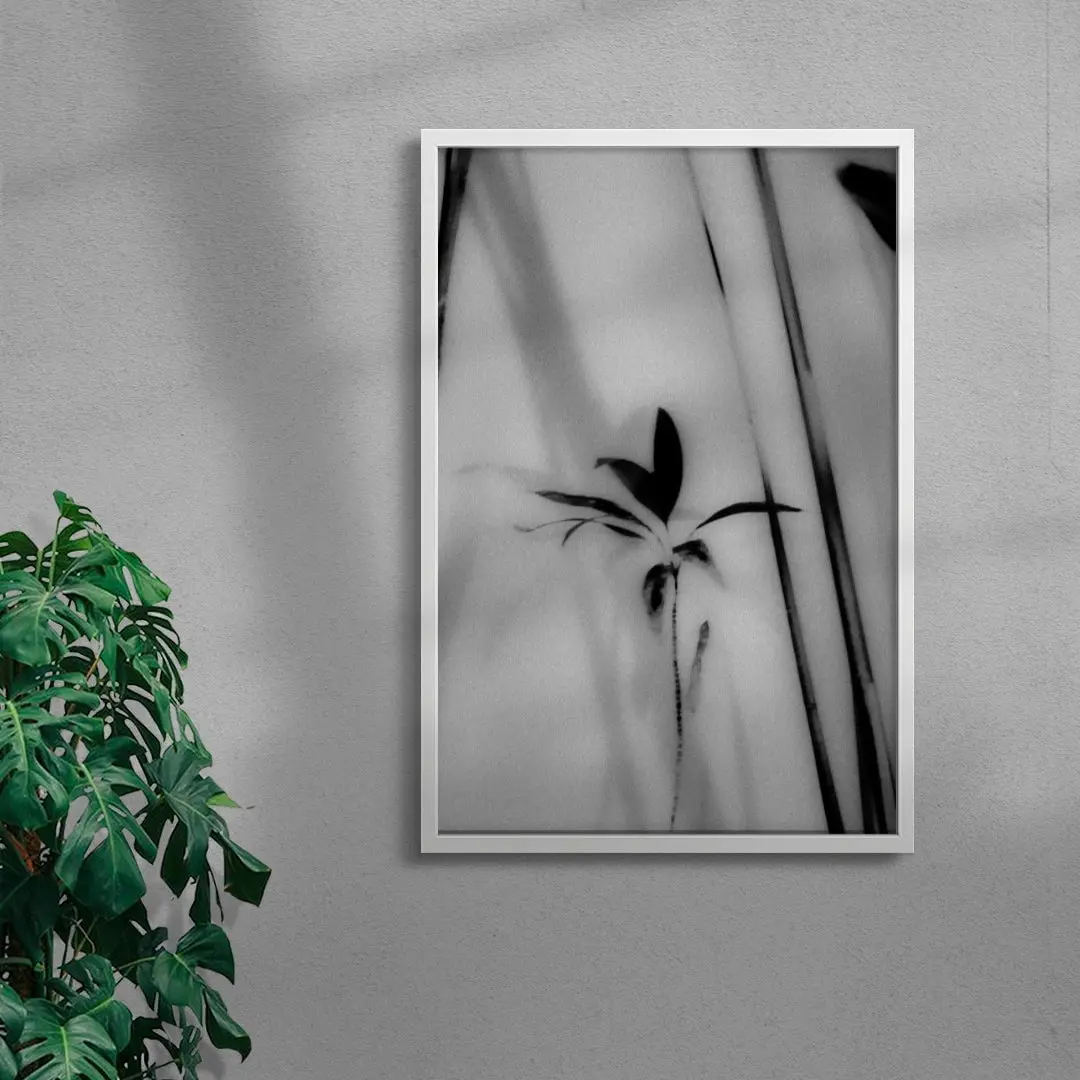 Silhouetted Plant - Image 5
