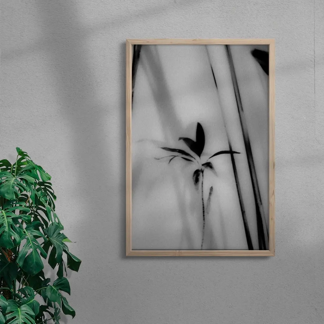 Silhouetted Plant - Image 6