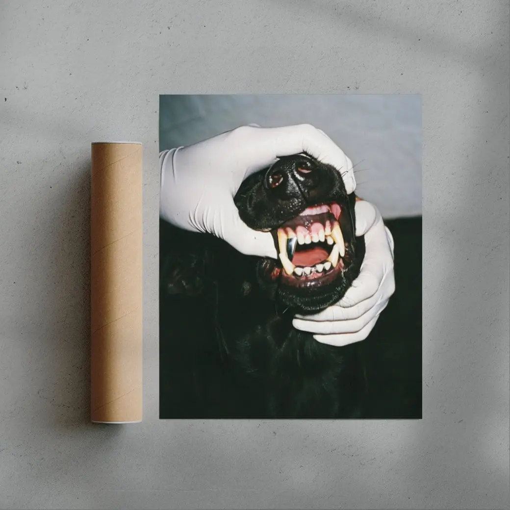 SILVER BITE - Image 3