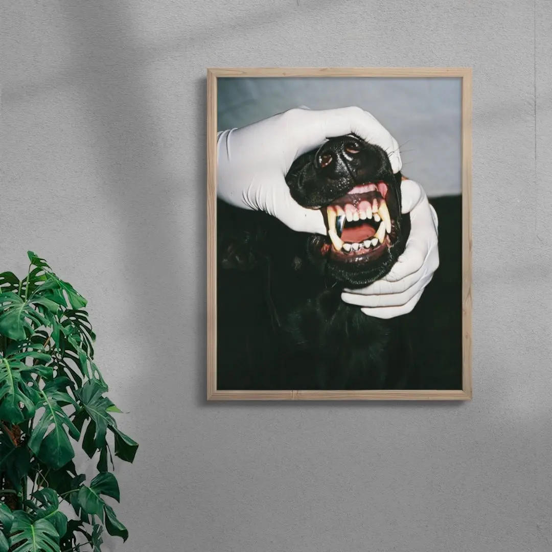 SILVER BITE - Image 6