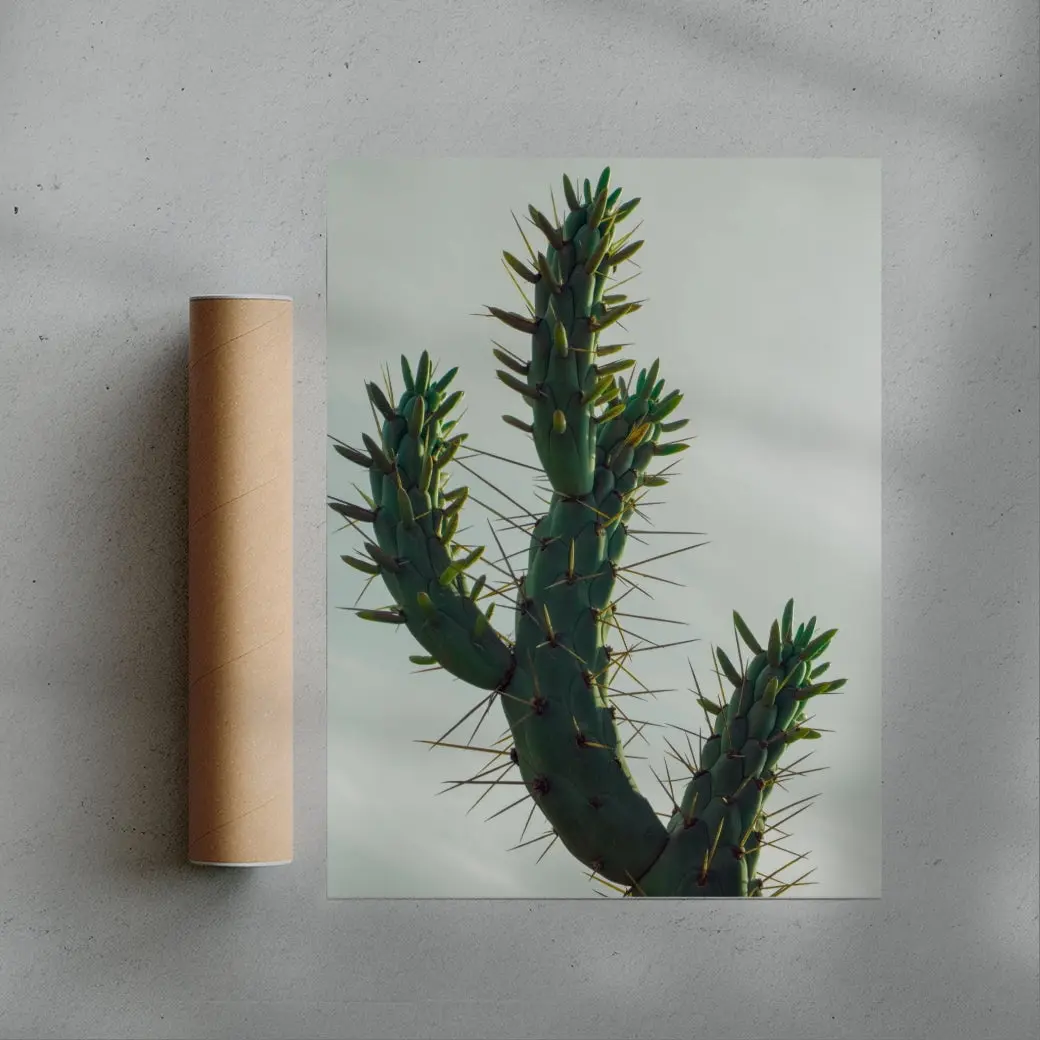 Spines - Image 3
