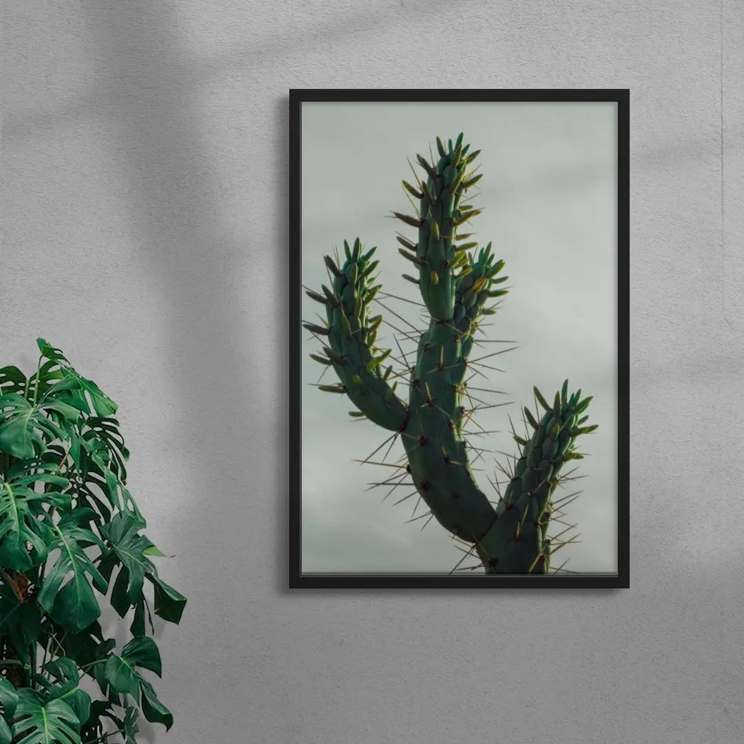 Spines - Image 4