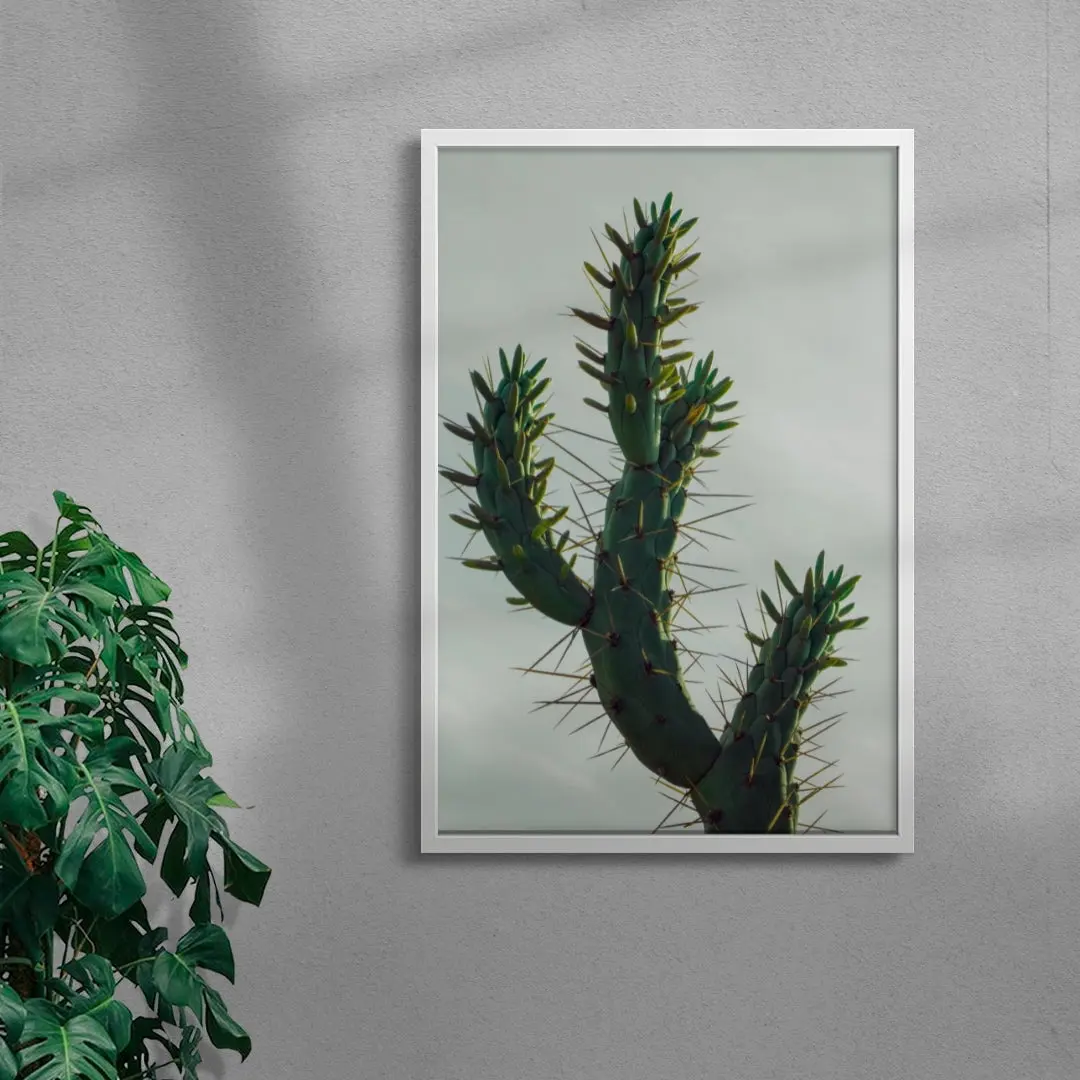 Spines - Image 5