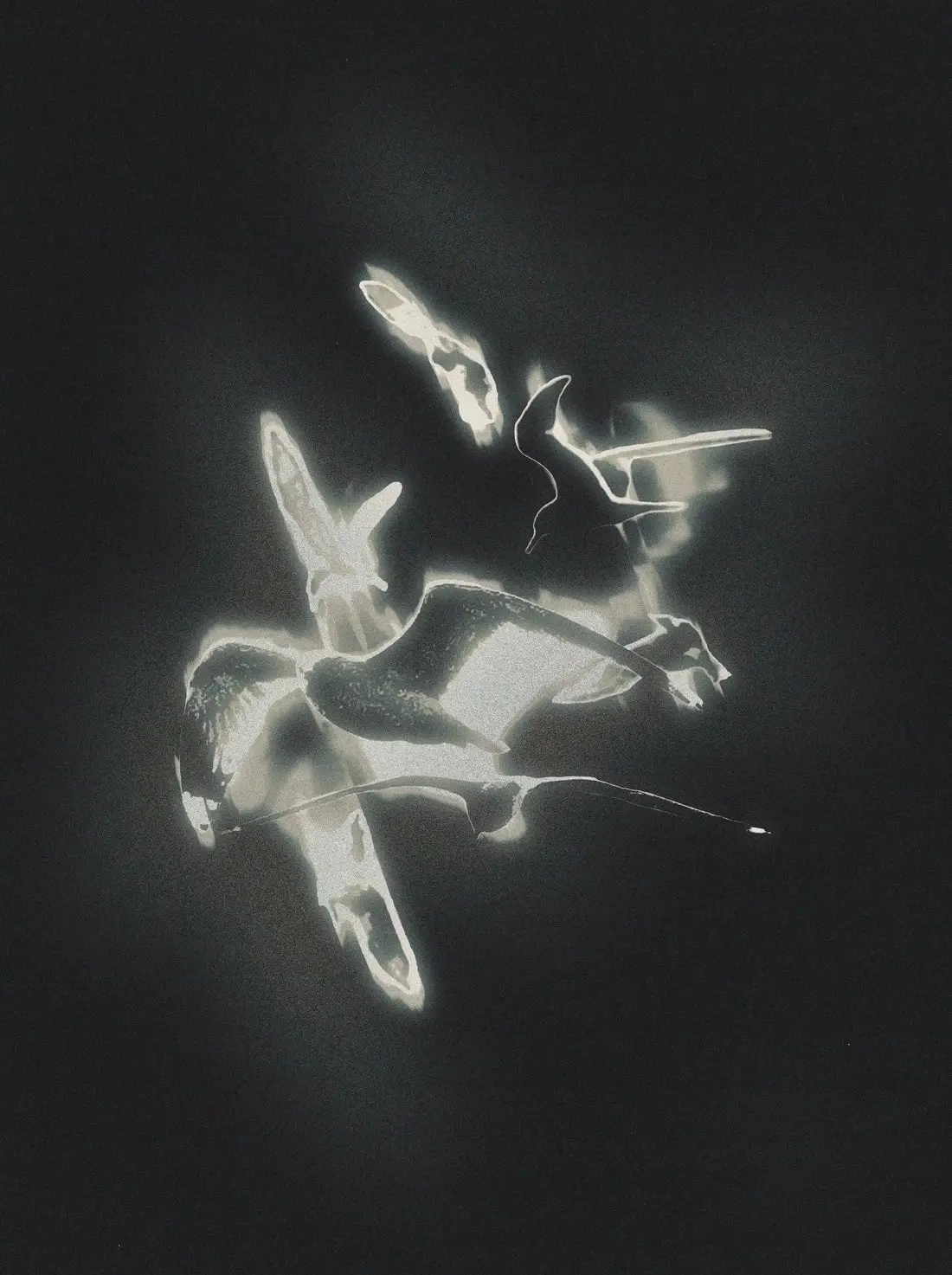 Spirals - Image 2