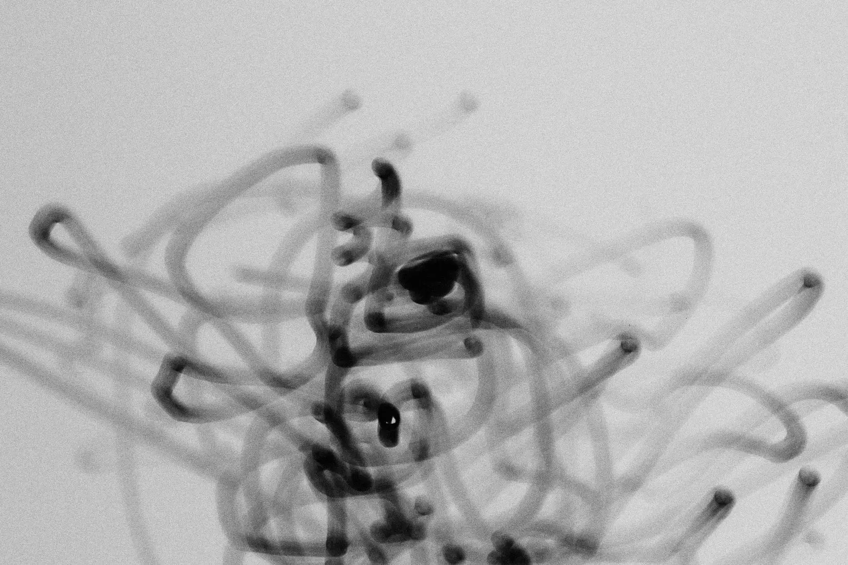 Squiggles - Image 2
