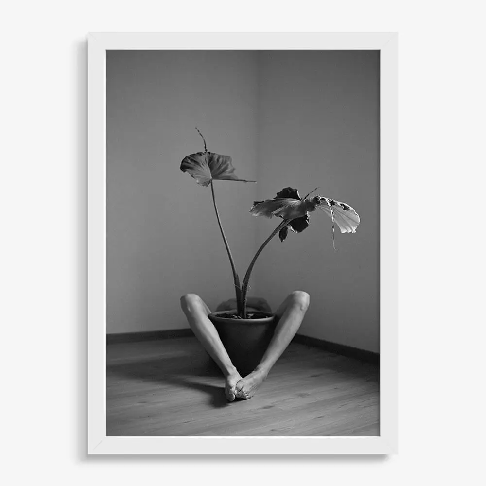 Symbiosis No. 2 - Image 3