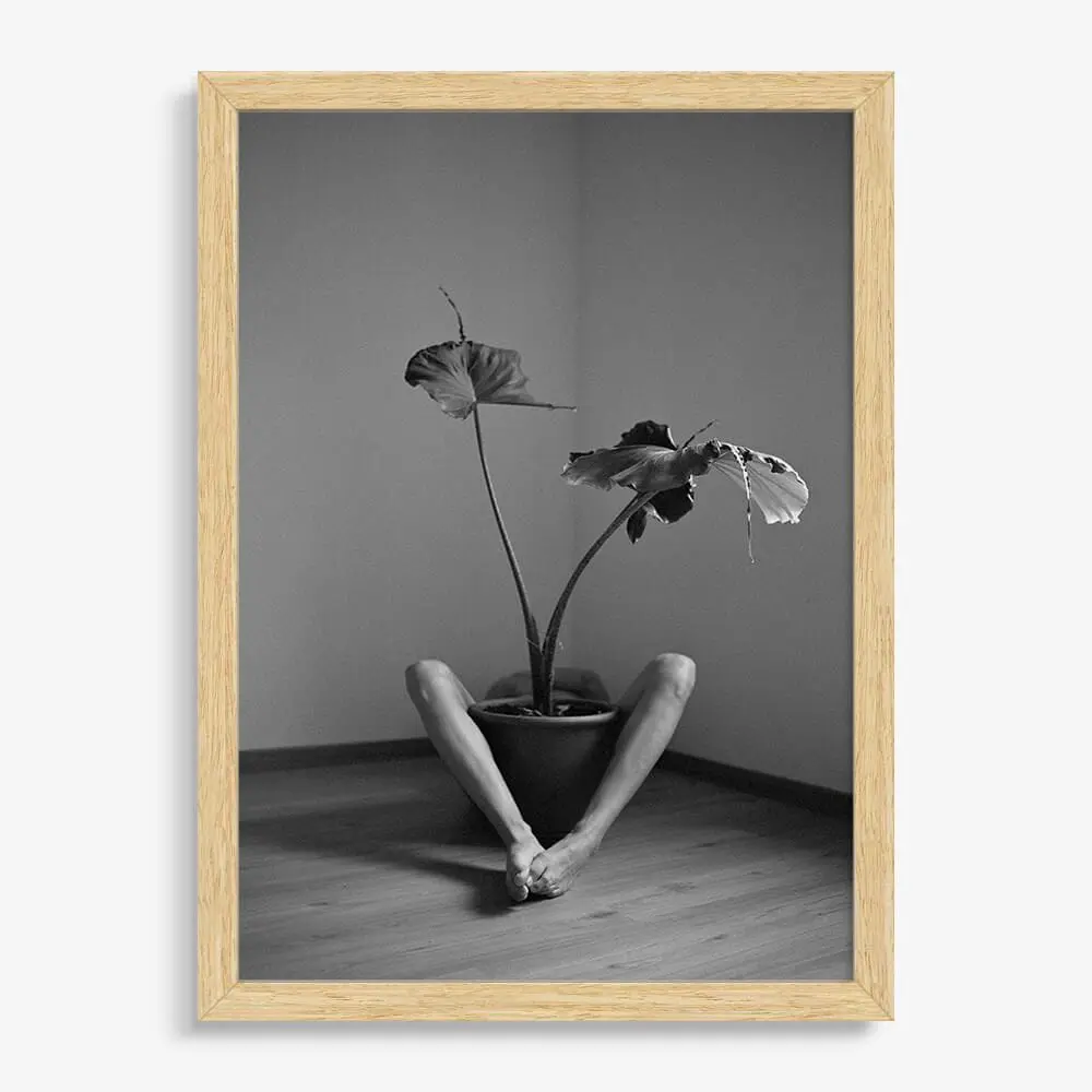 Symbiosis No. 2 - Image 4