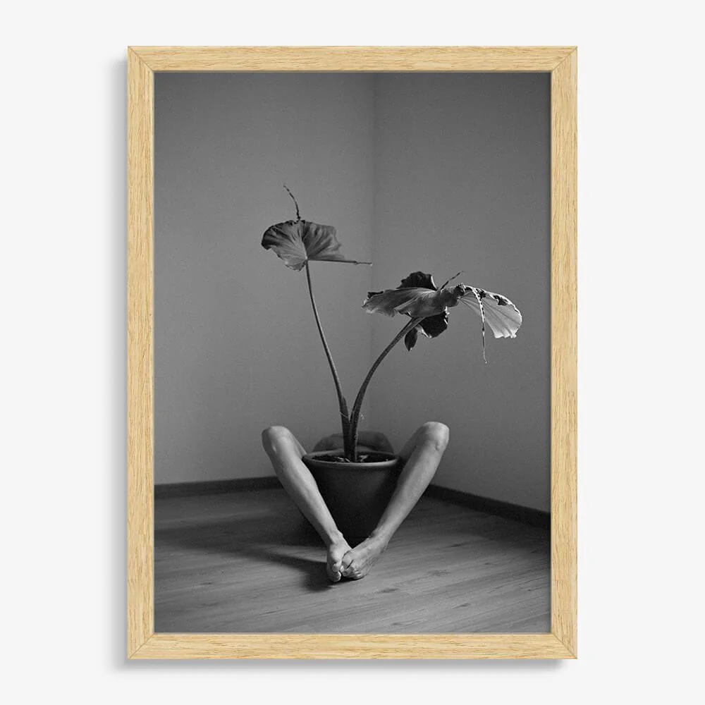 Symbiosis No. 2 - Image 5
