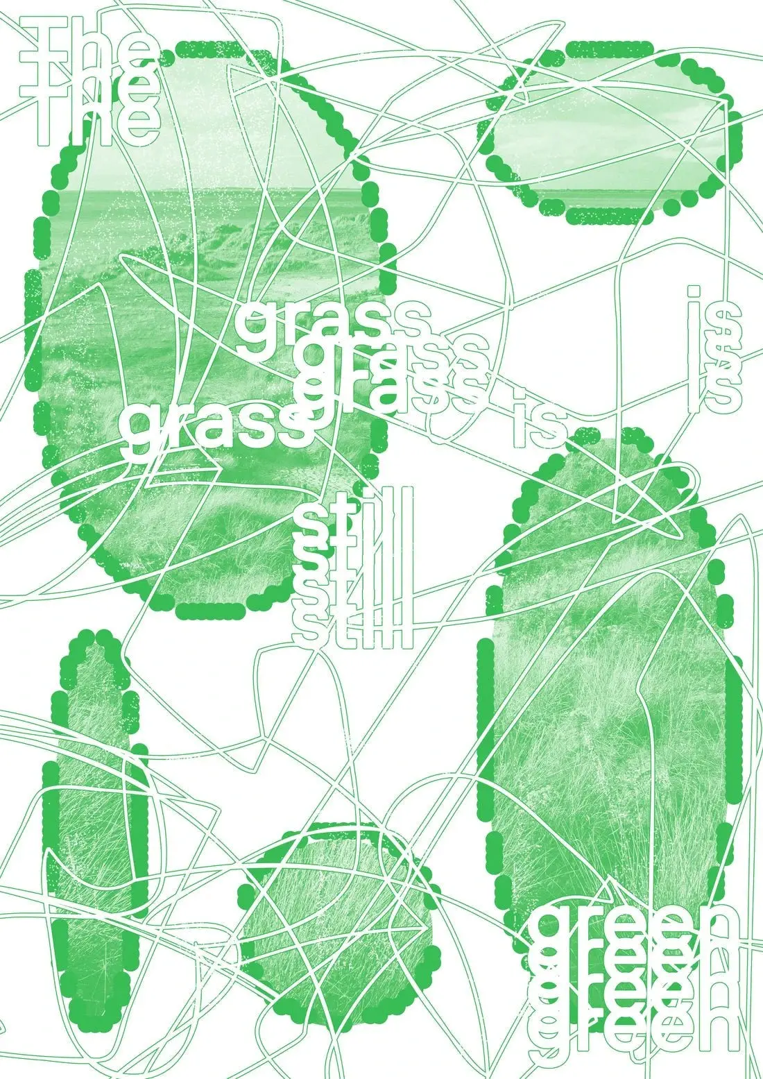 The Grass is Still Green - Image 2