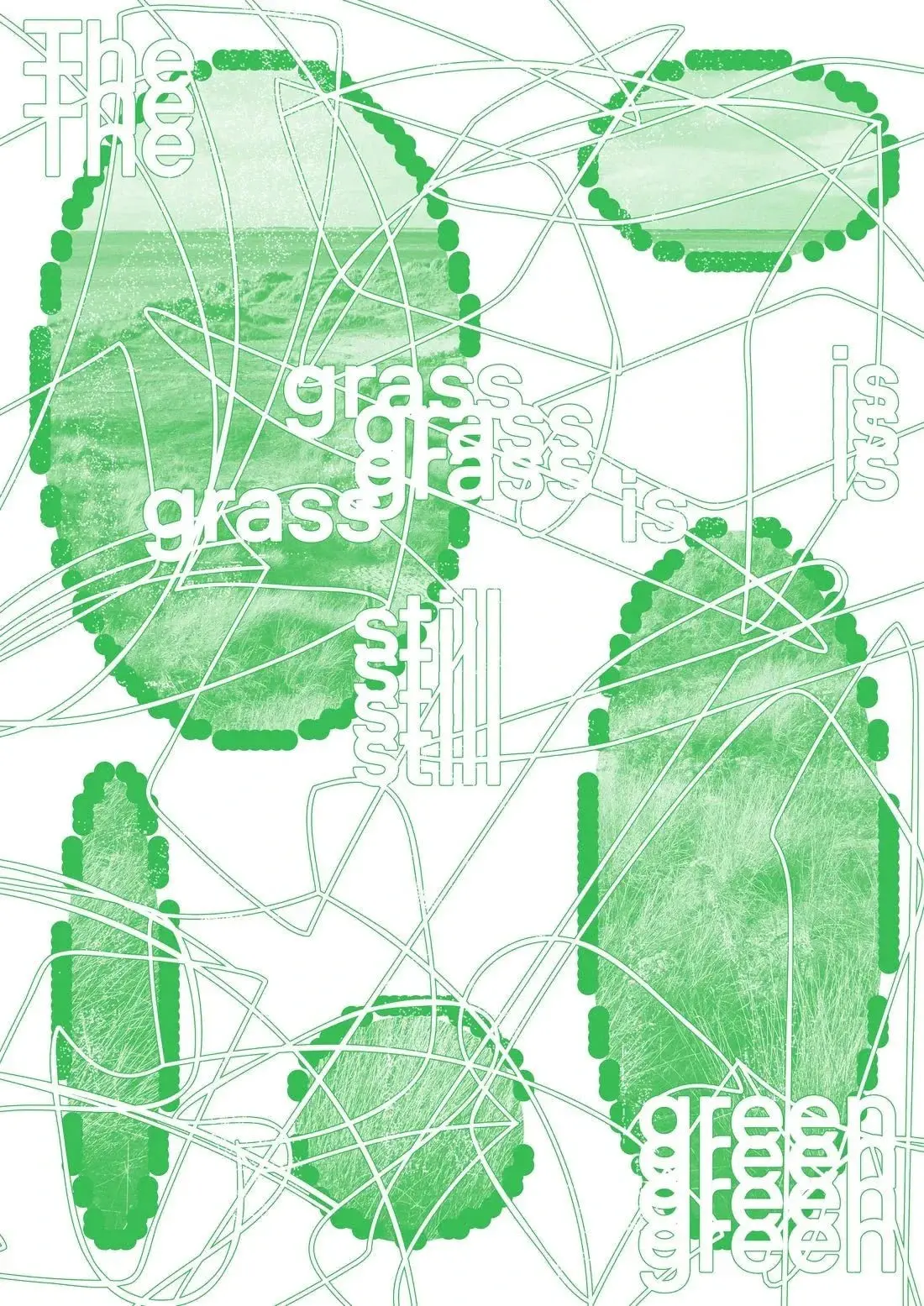 The Grass is Still Green - Image 2