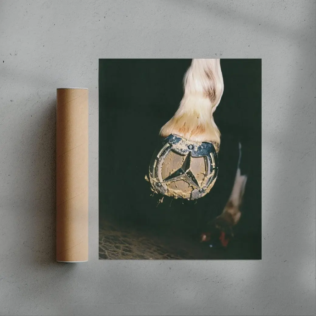 THE HORSE - Image 3