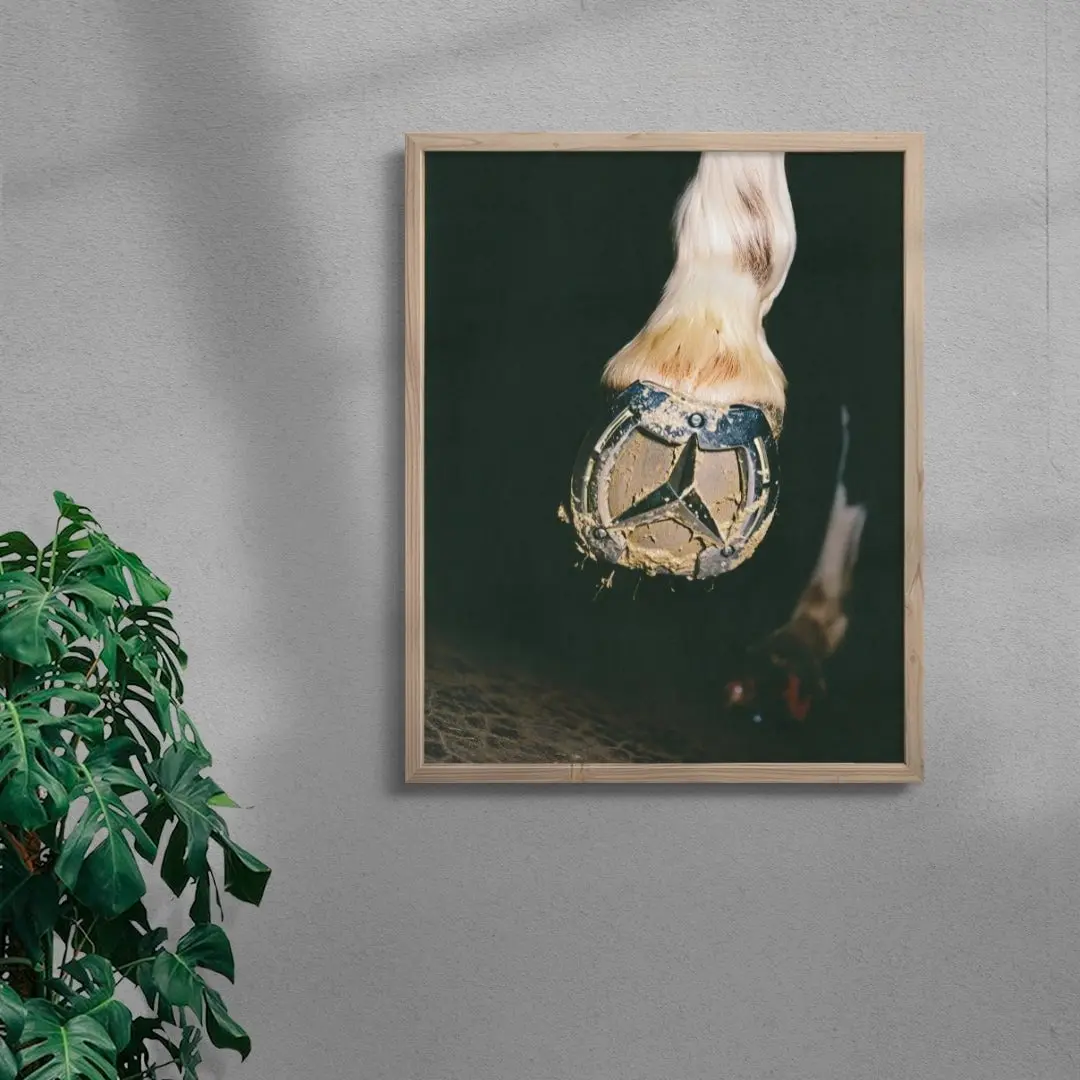 THE HORSE - Image 6