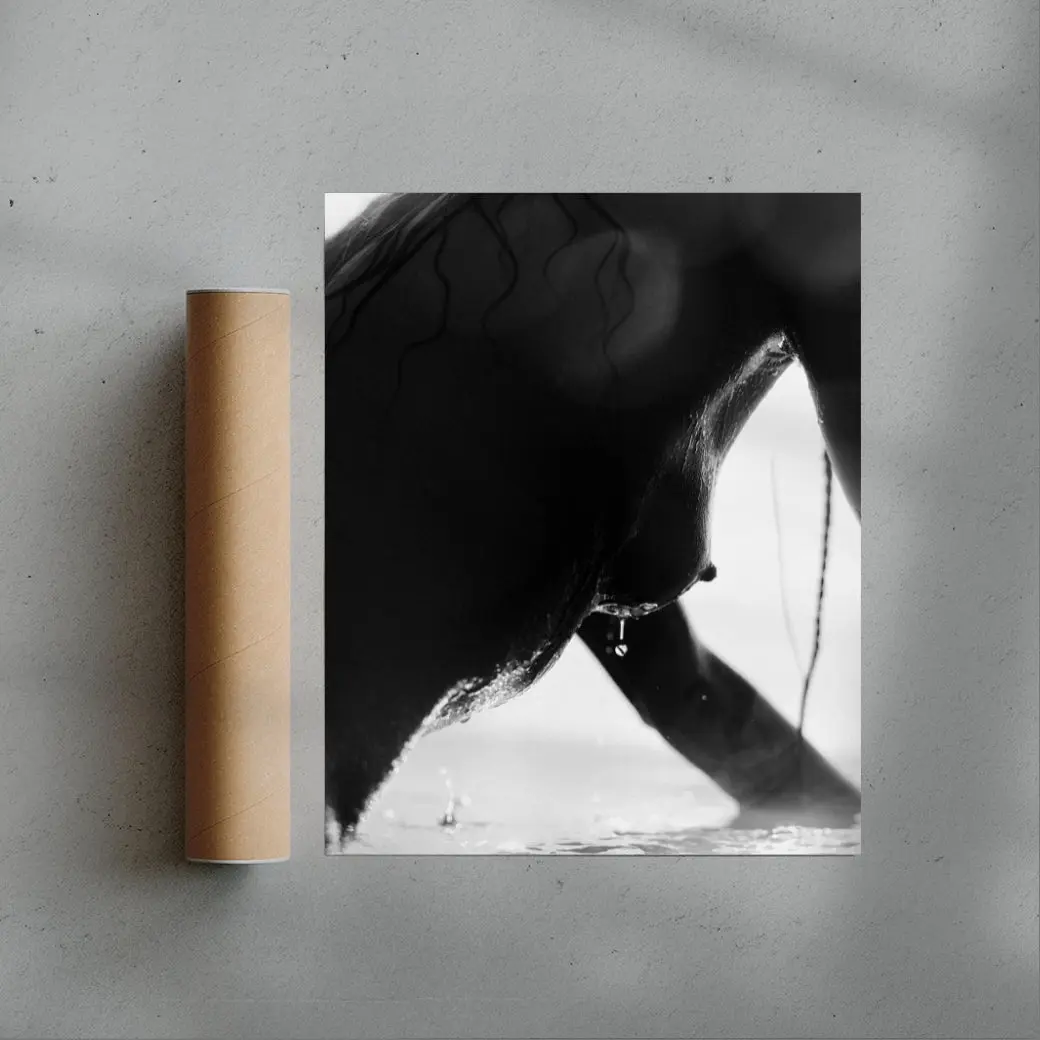 The Wet Line - Image 3