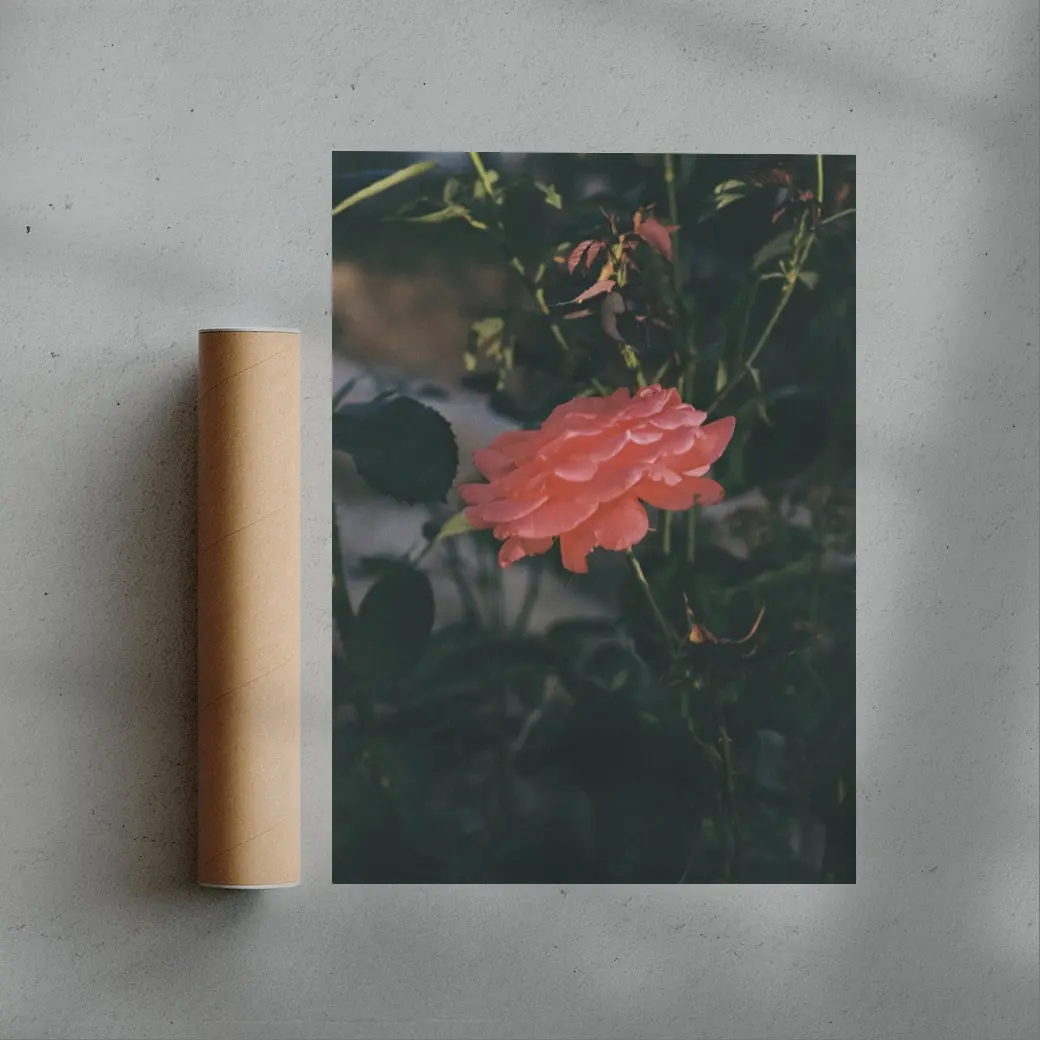 Thorn - Image 3