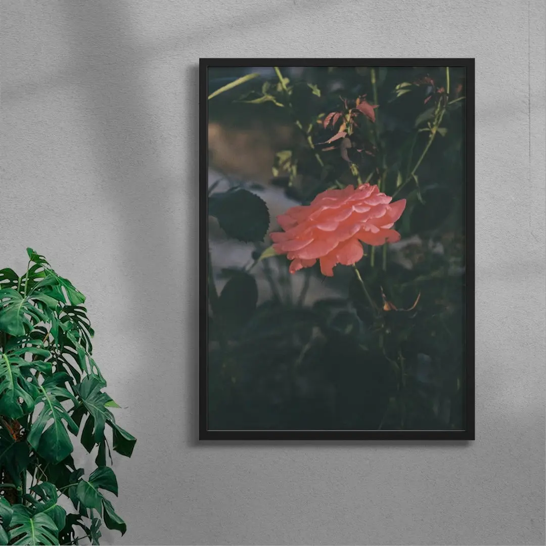 Thorn - Image 4