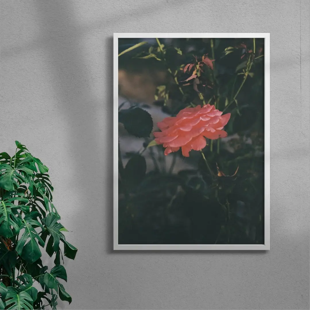 Thorn - Image 5