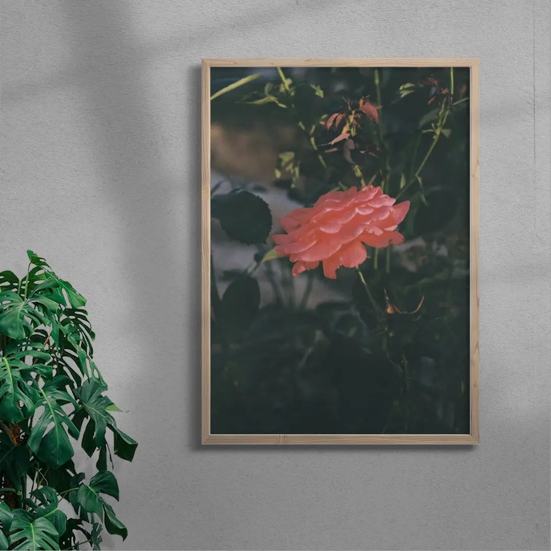 Thorn - Image 6