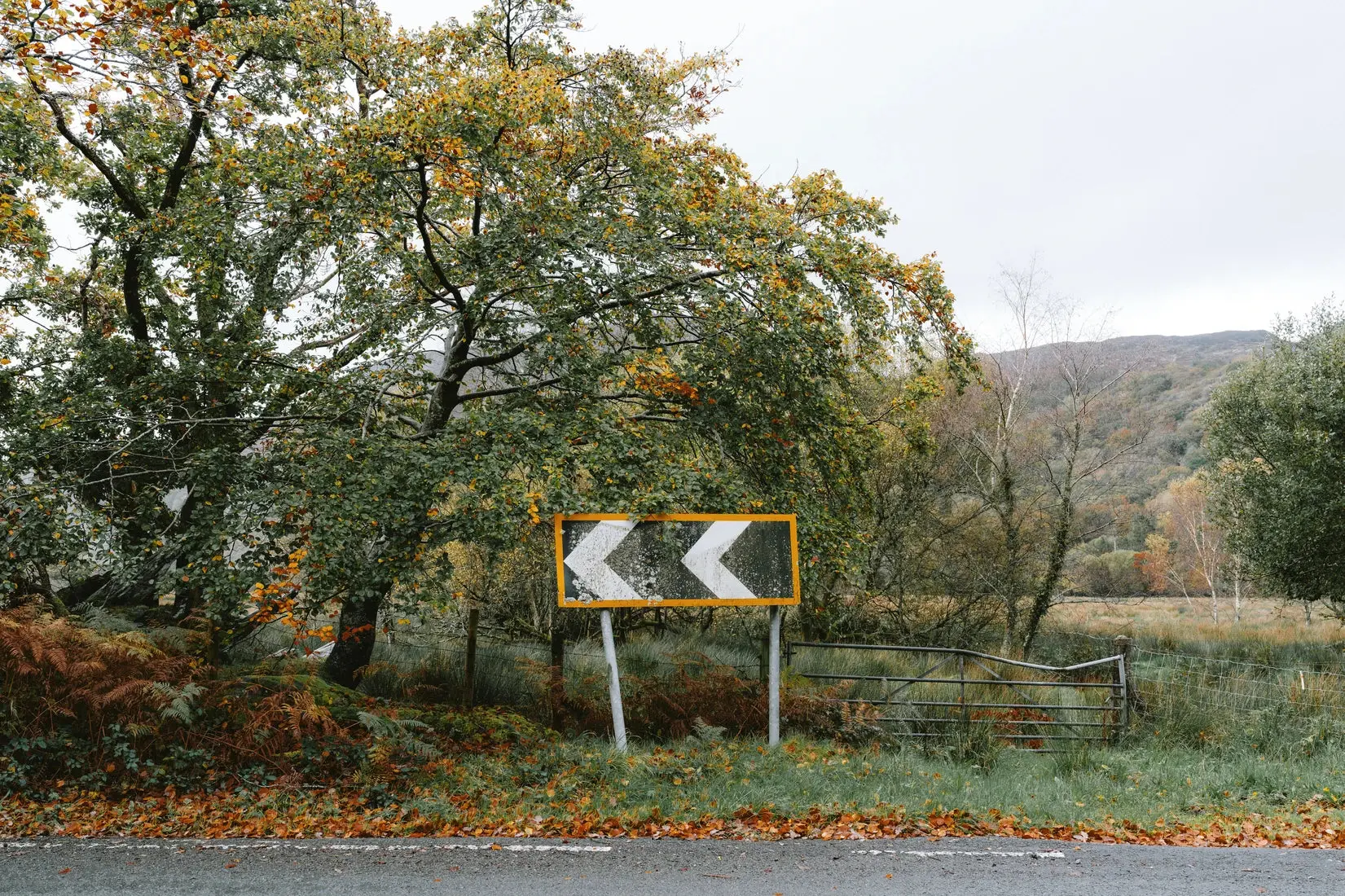 Turn Left - Image 2