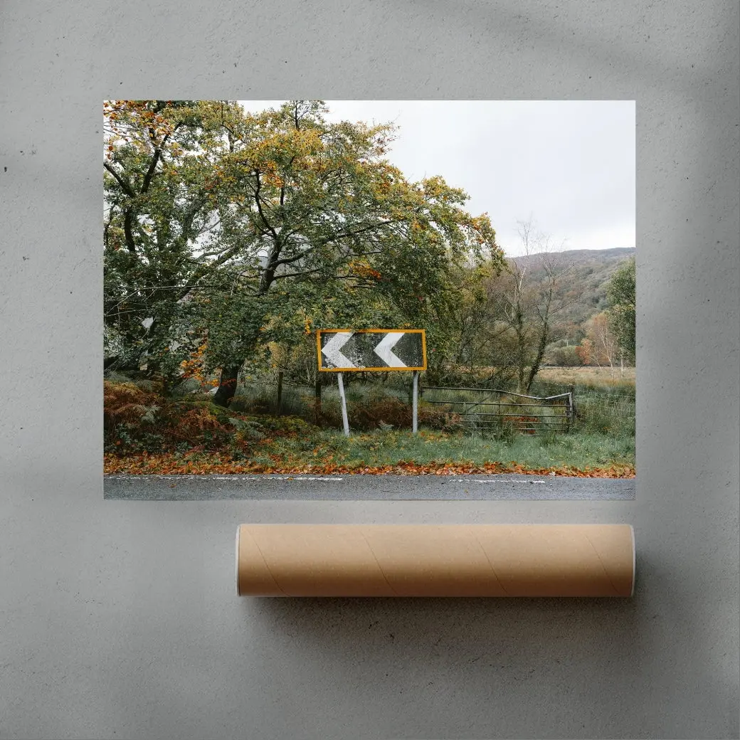 Turn Left - Image 3