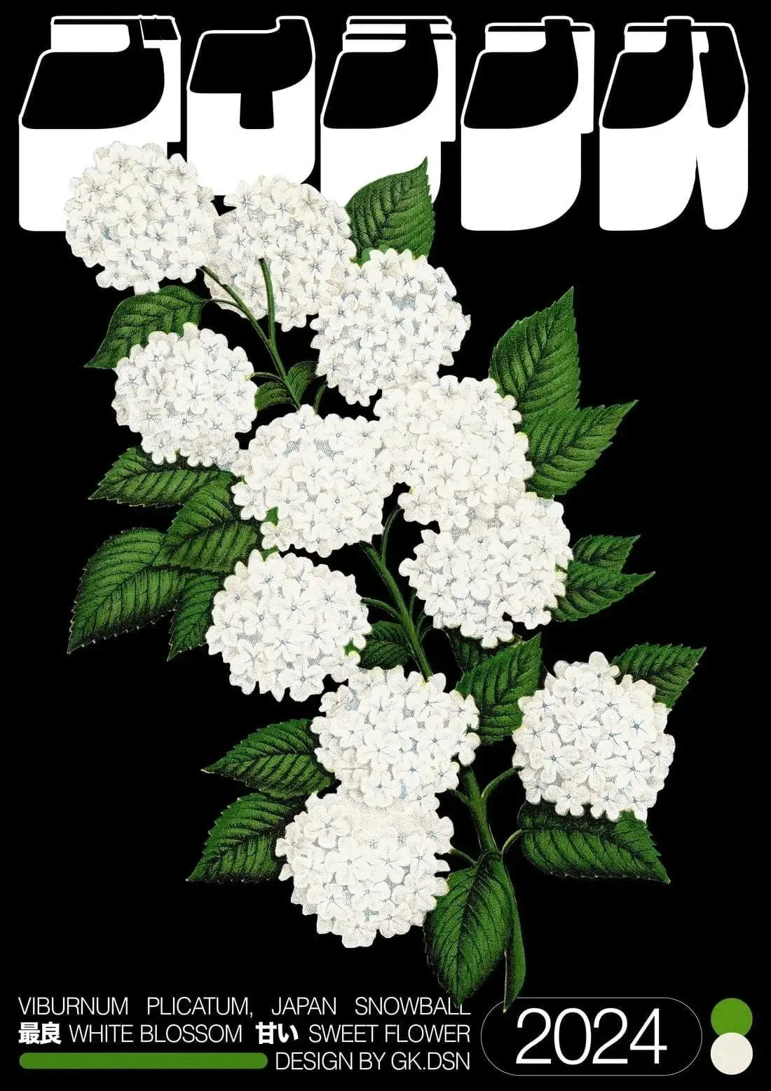 Viburnum Plicatum - Image 2