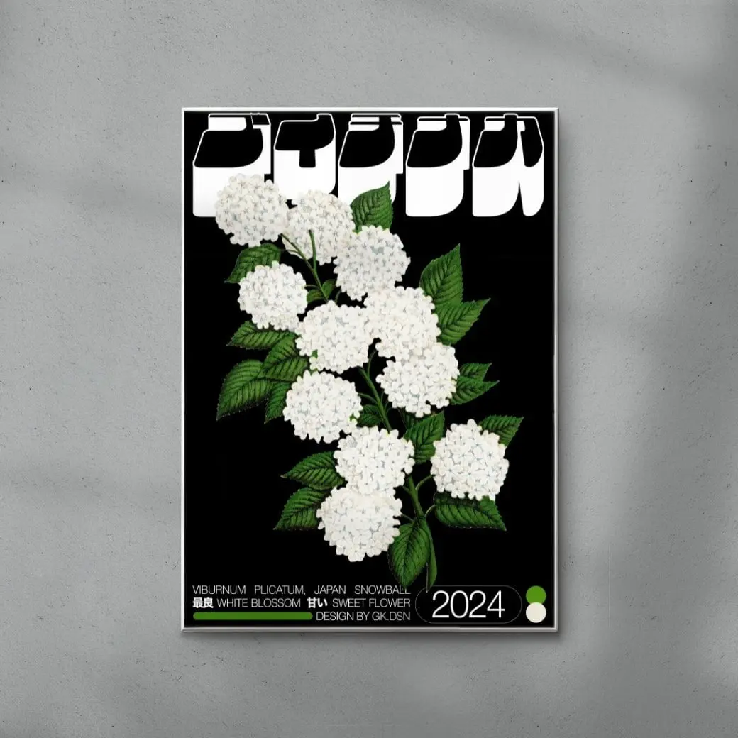 Viburnum Plicatum - Image 6