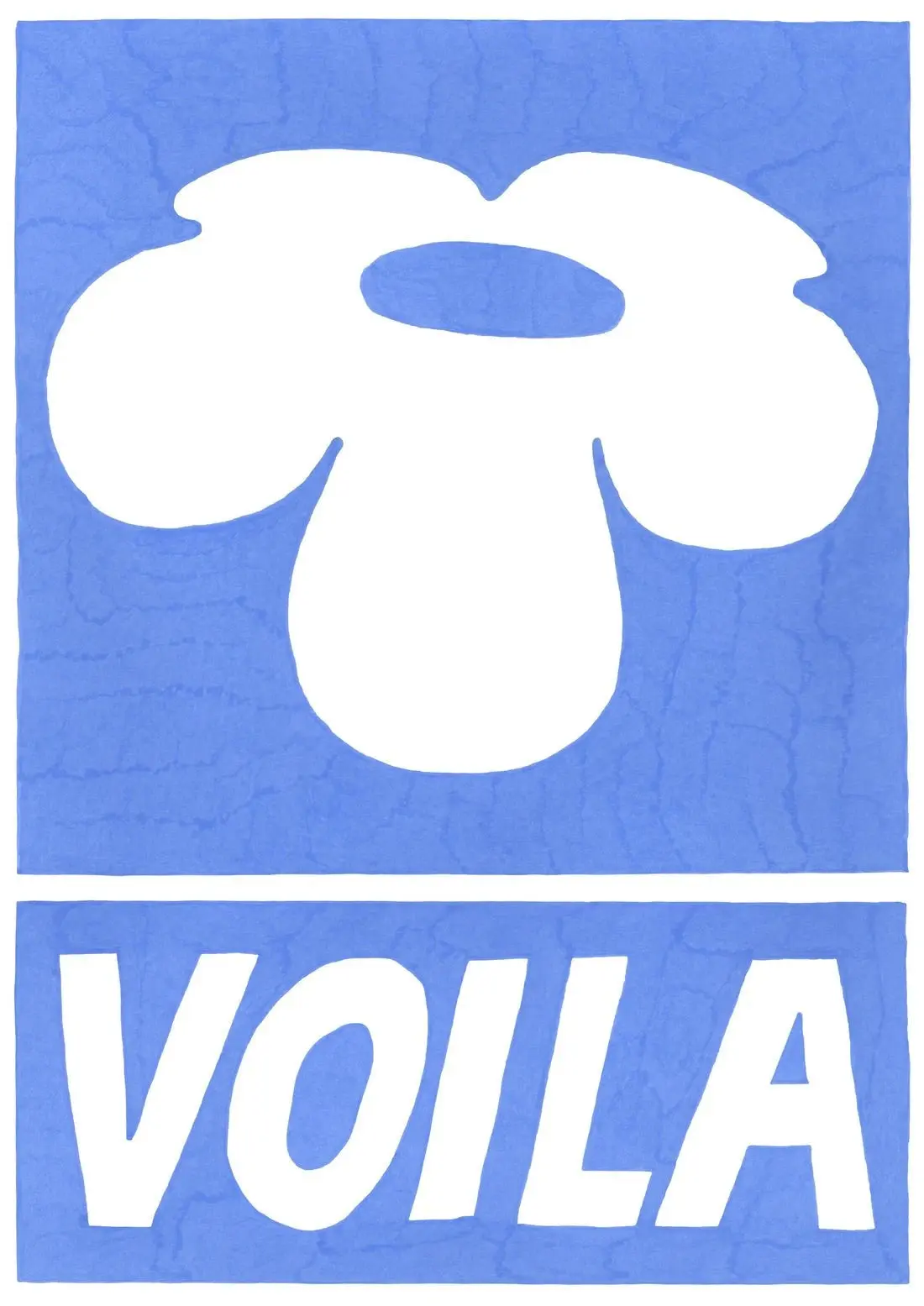 Voila - Image 2