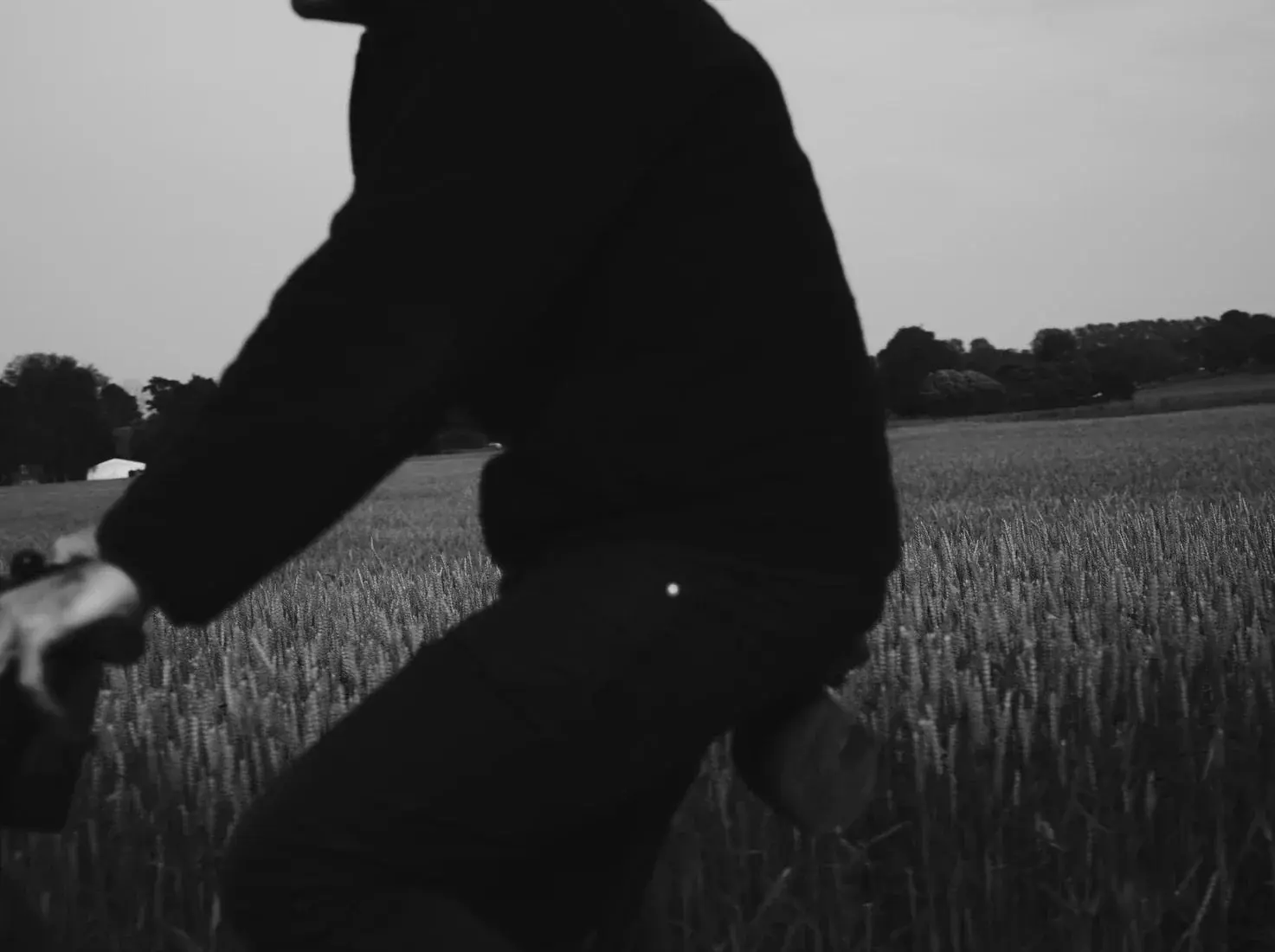 Wheat Rider - Image 2