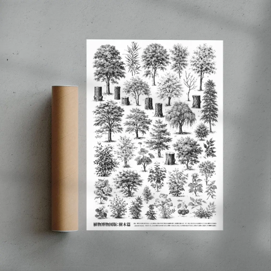 Whispers of the Woodland - Image 3