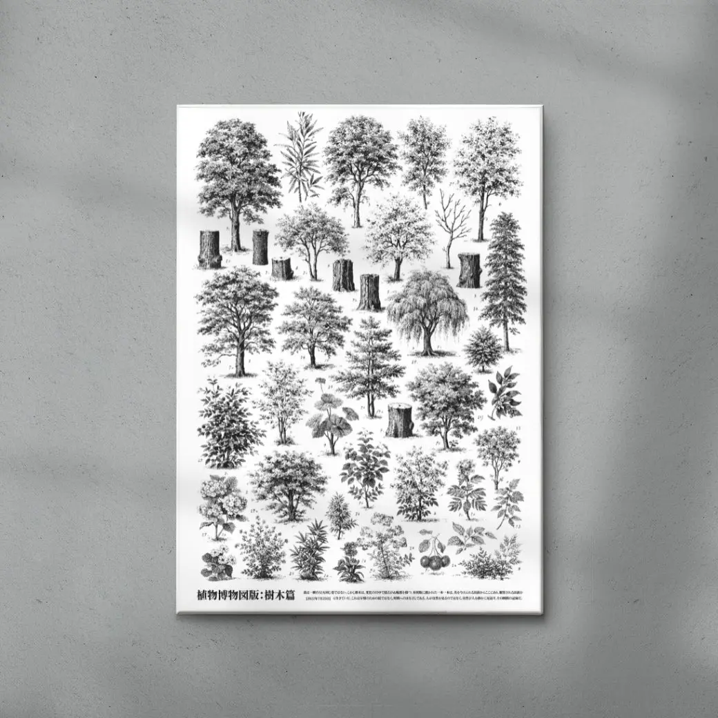 Whispers of the Woodland - Image 3