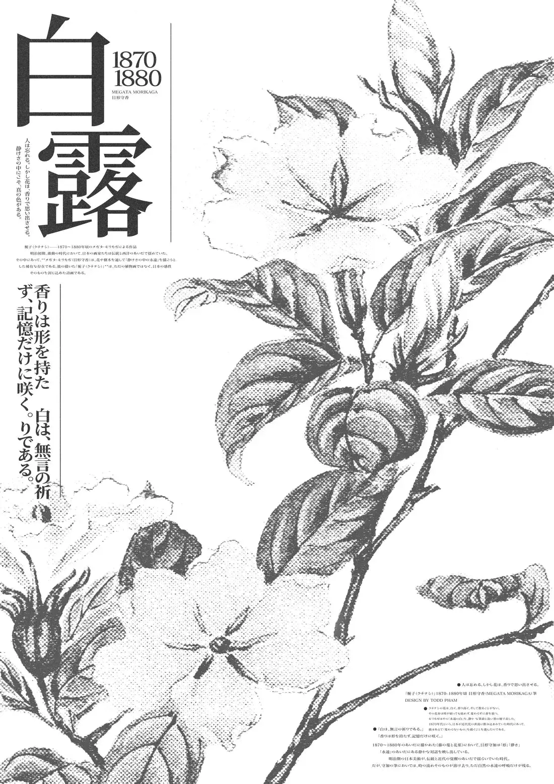 White Dew - Image 2