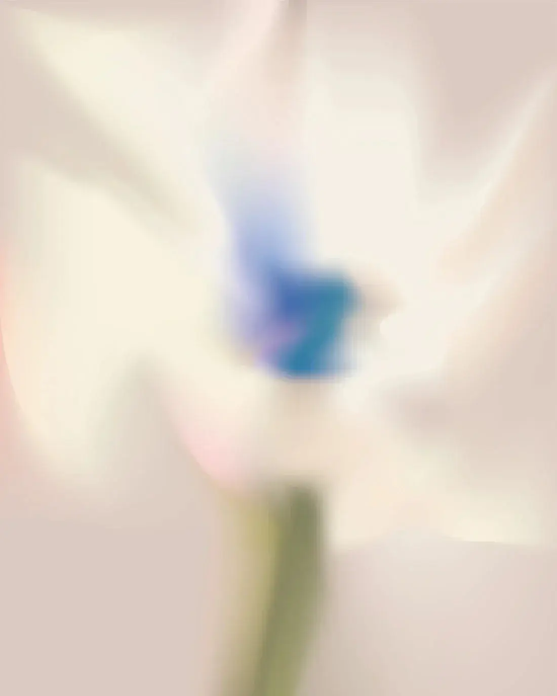 White Flower - Image 2