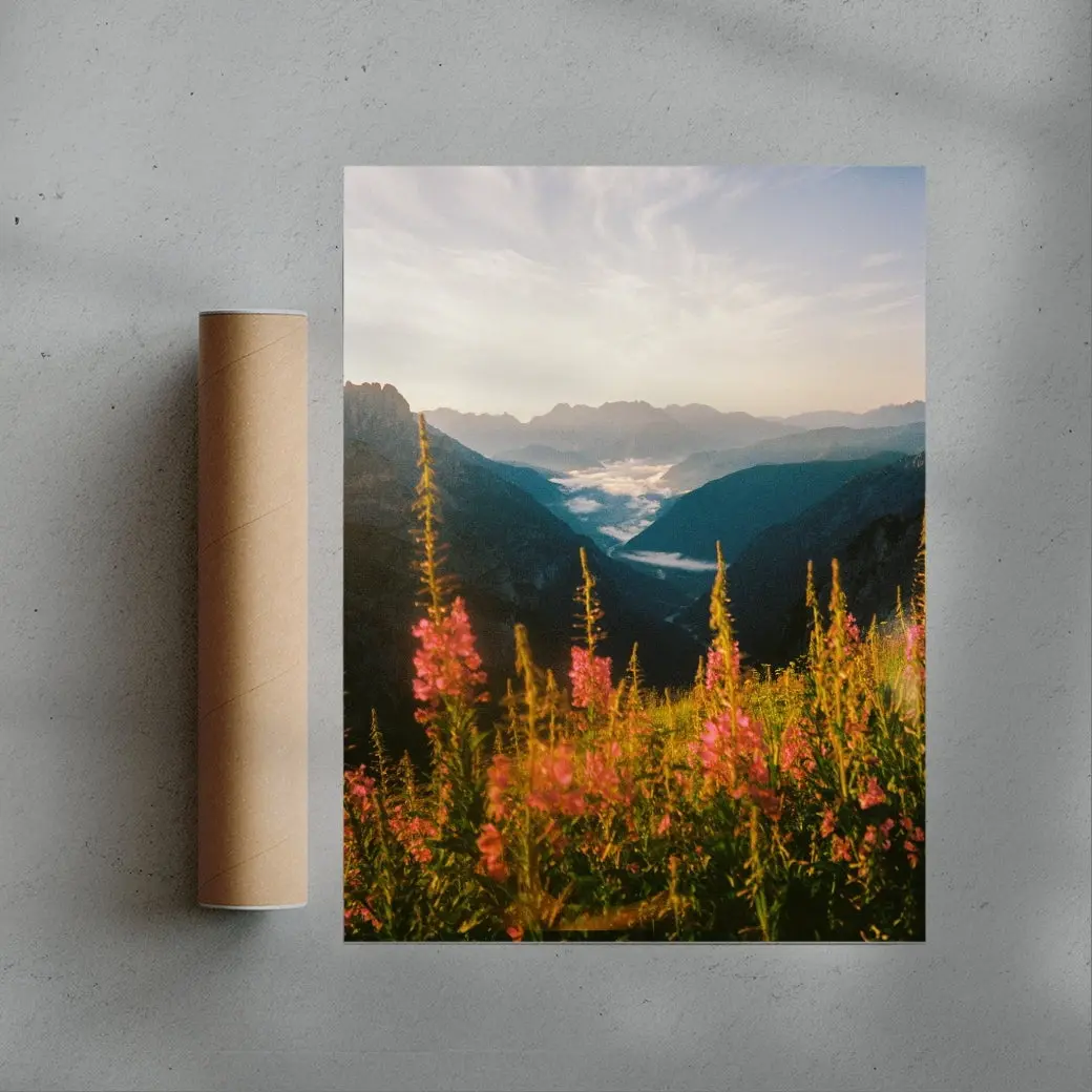 Wildflower - Image 3