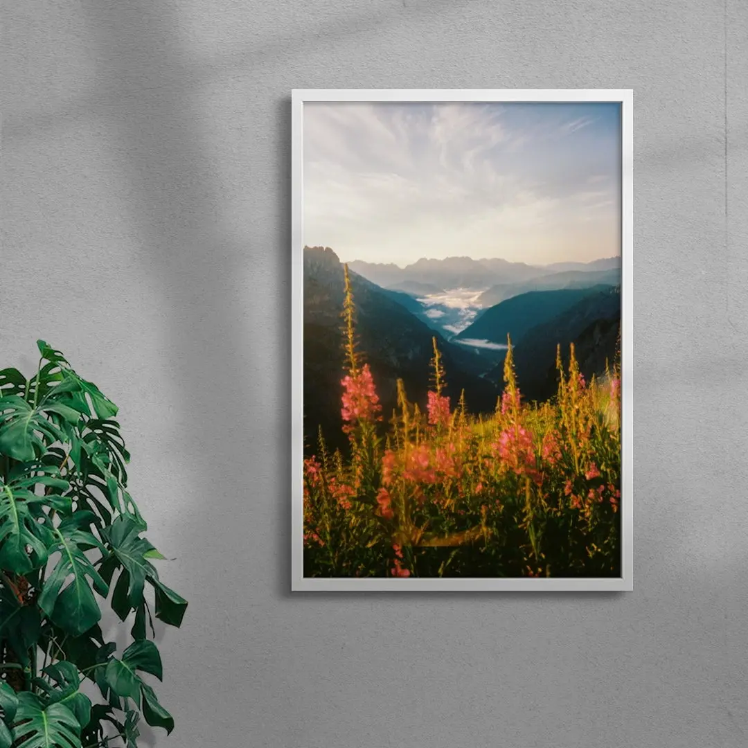 Wildflower - Image 5