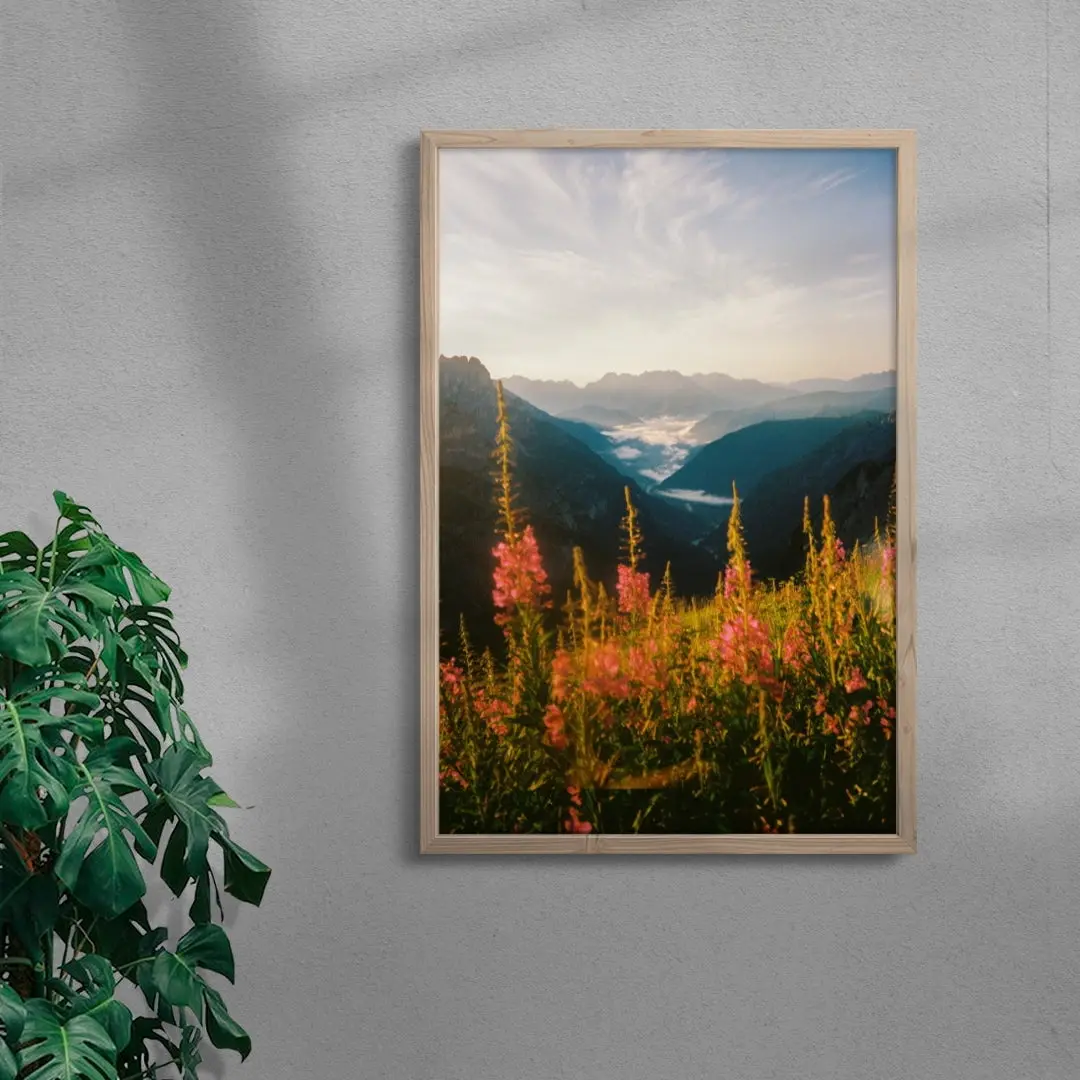 Wildflower - Image 6