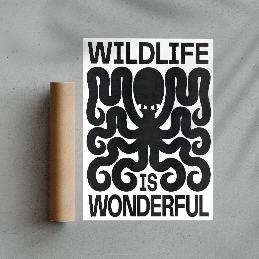 Wildlife - Image 3