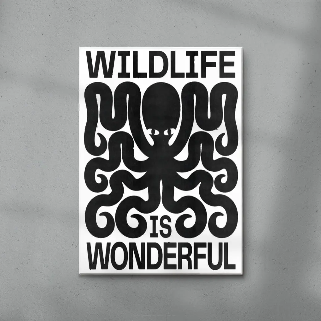 Wildlife - Image 6