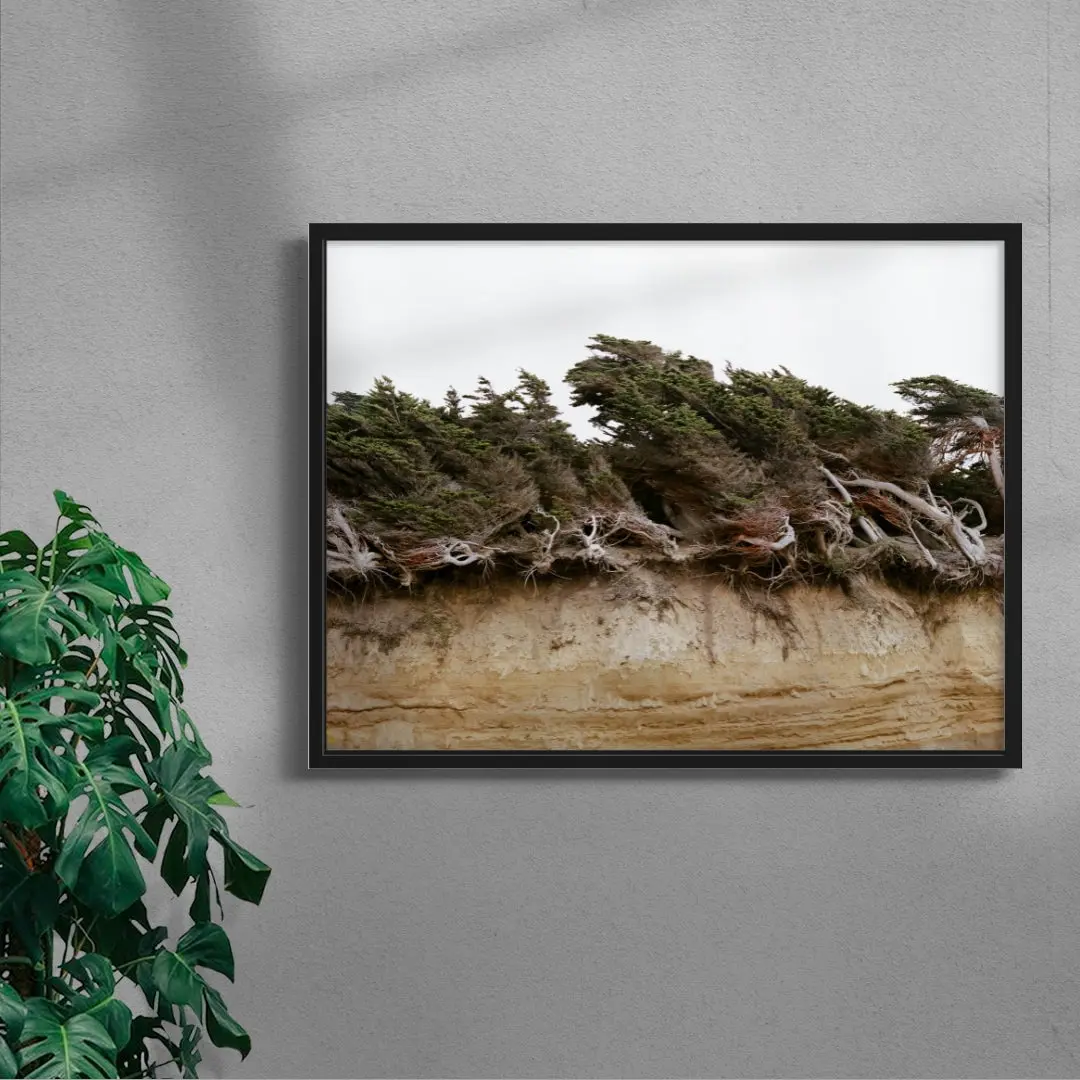 Windblown Trees - Image 4